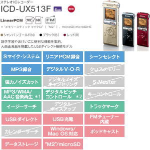ICD-UX513F